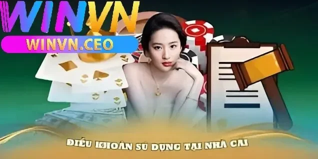 Điều Khoản Sử Dụng WinVN – Quy Định và Trách Nhiệm Người Chơi